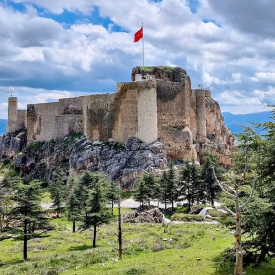 Akçadağ Vinç Kiralama