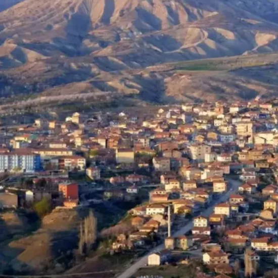 Akçadağ Vinç Kiralama